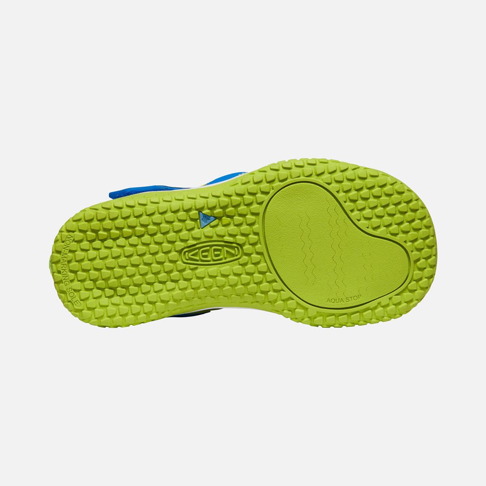 Keen Sandaal Kinderen Blauw/Groen - Stingray - 25809-HNVF